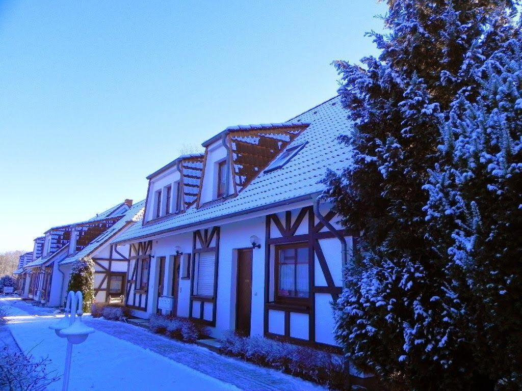 Ferienwohnung-Nils-Holgerson-Mit-Balkon-Zwischen-Strand-Wald-Wiese-Im-Suedosten-Der-Insel-Ruegen Gustow  Eksteriør bilde