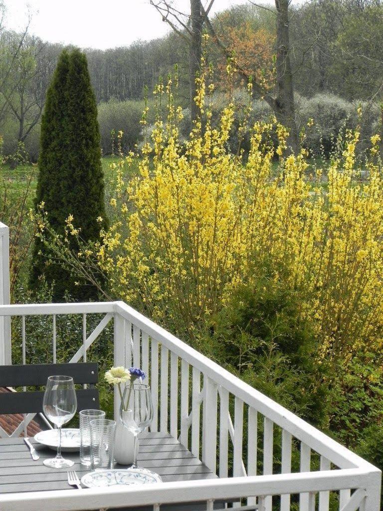 Ferienwohnung-Nils-Holgerson-Mit-Balkon-Zwischen-Strand-Wald-Wiese-Im-Suedosten-Der-Insel-Ruegen Gustow  Eksteriør bilde